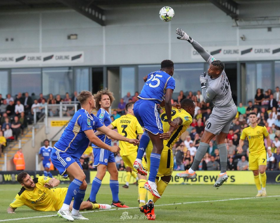 11名外援 11名外援